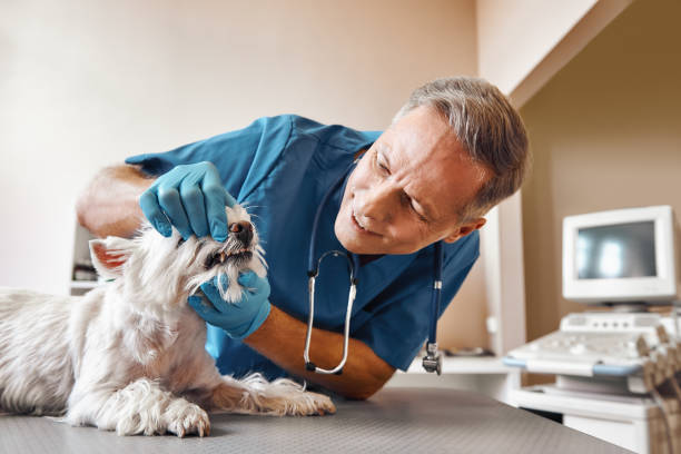 Best Emergency Dental Extractions in Laredo, TX