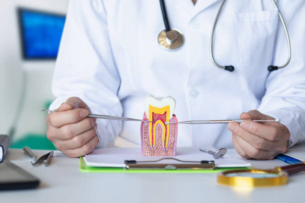 Best Broken or Cracked Tooth Emergency Dentist in Laredo, TX